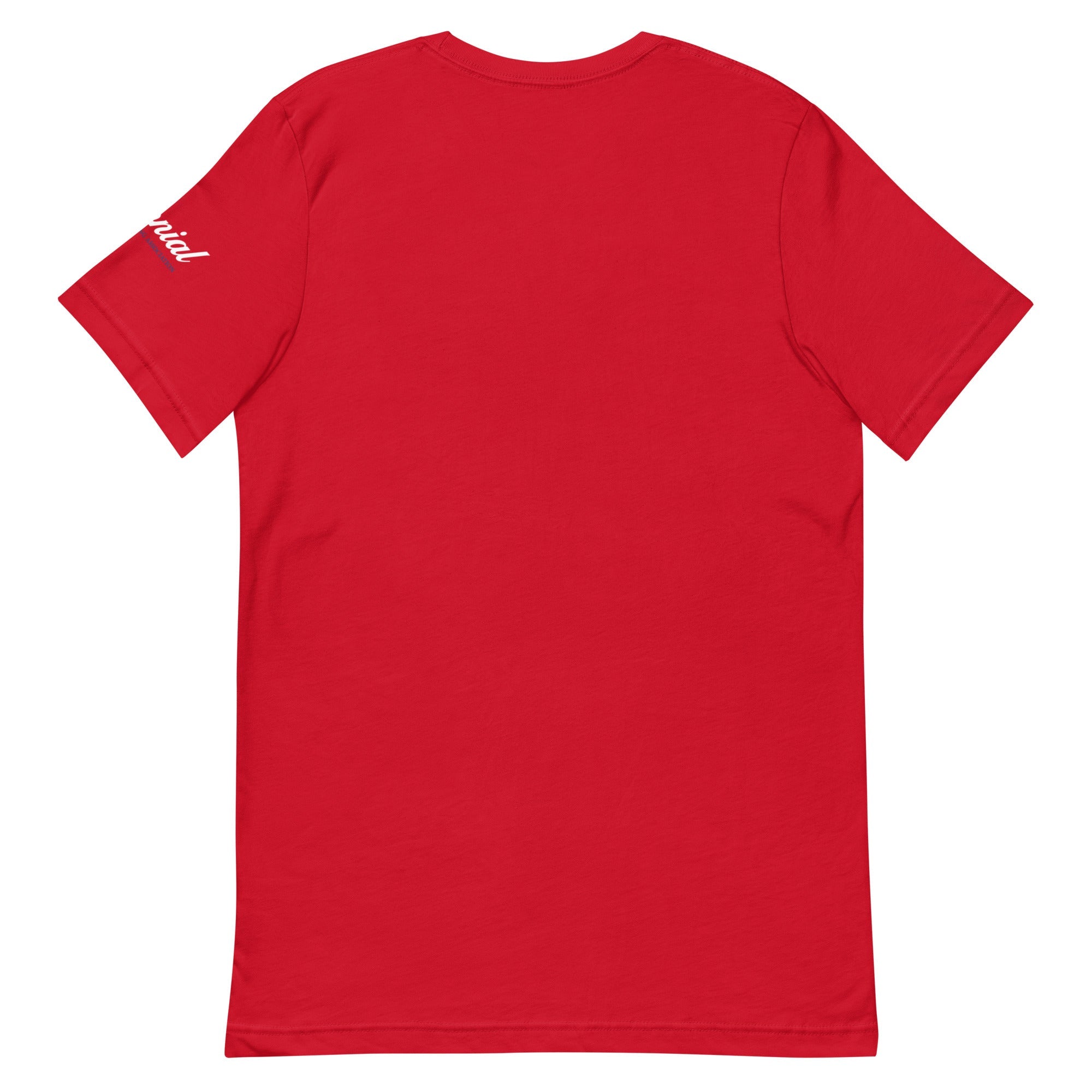 Colonial Curling Club Unisex t-shirt - Broomfitters