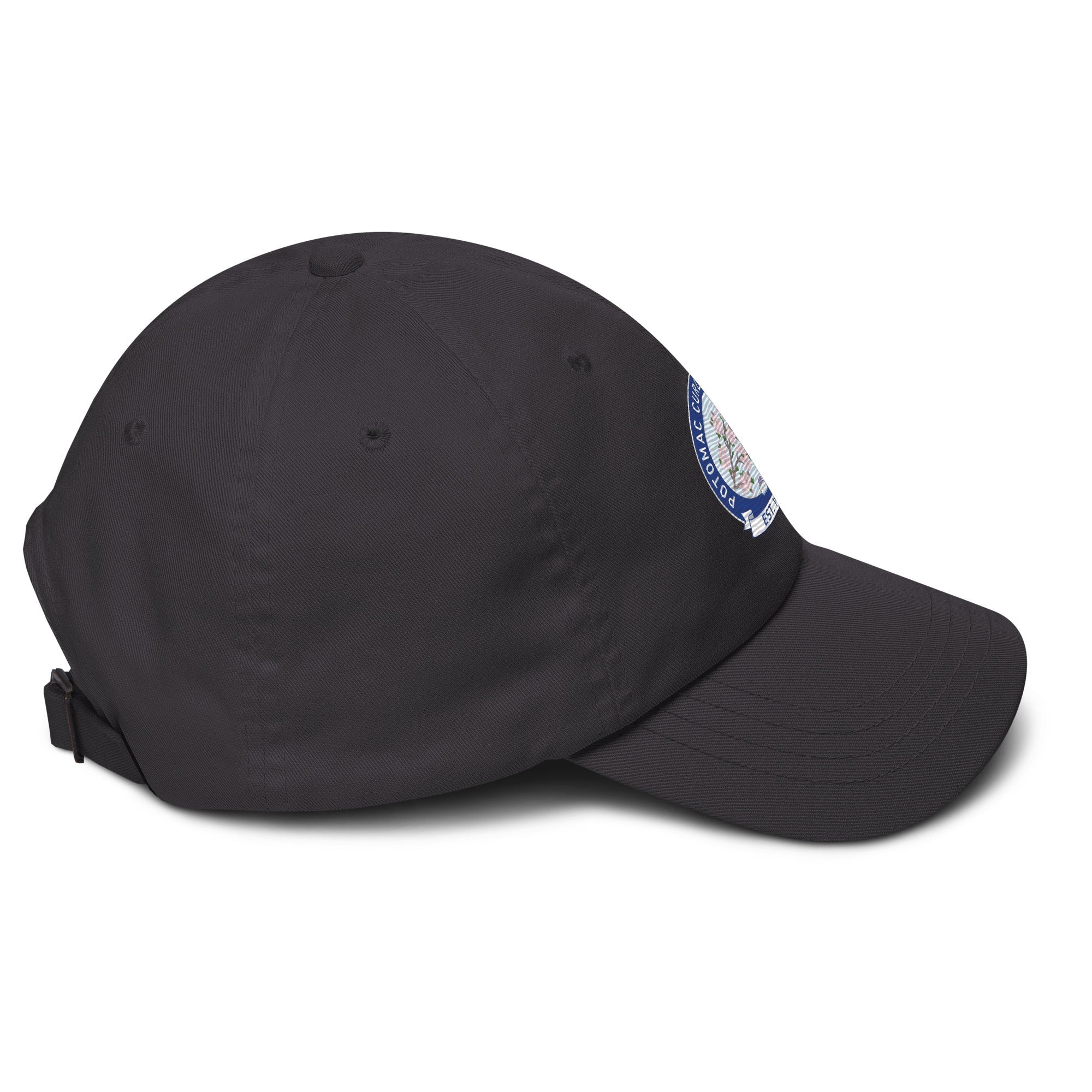 Potomac Curling Club Dad hat - Broomfitters