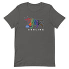 Triangle Curling Club - Pride - Unisex t-shirt - Broomfitters