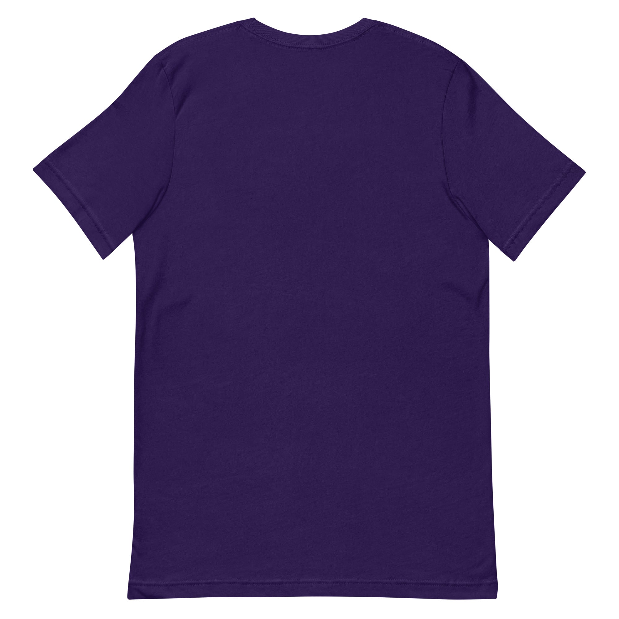 Zombiespiel - South Shore Curling Club Unisex t-shirt - Broomfitters