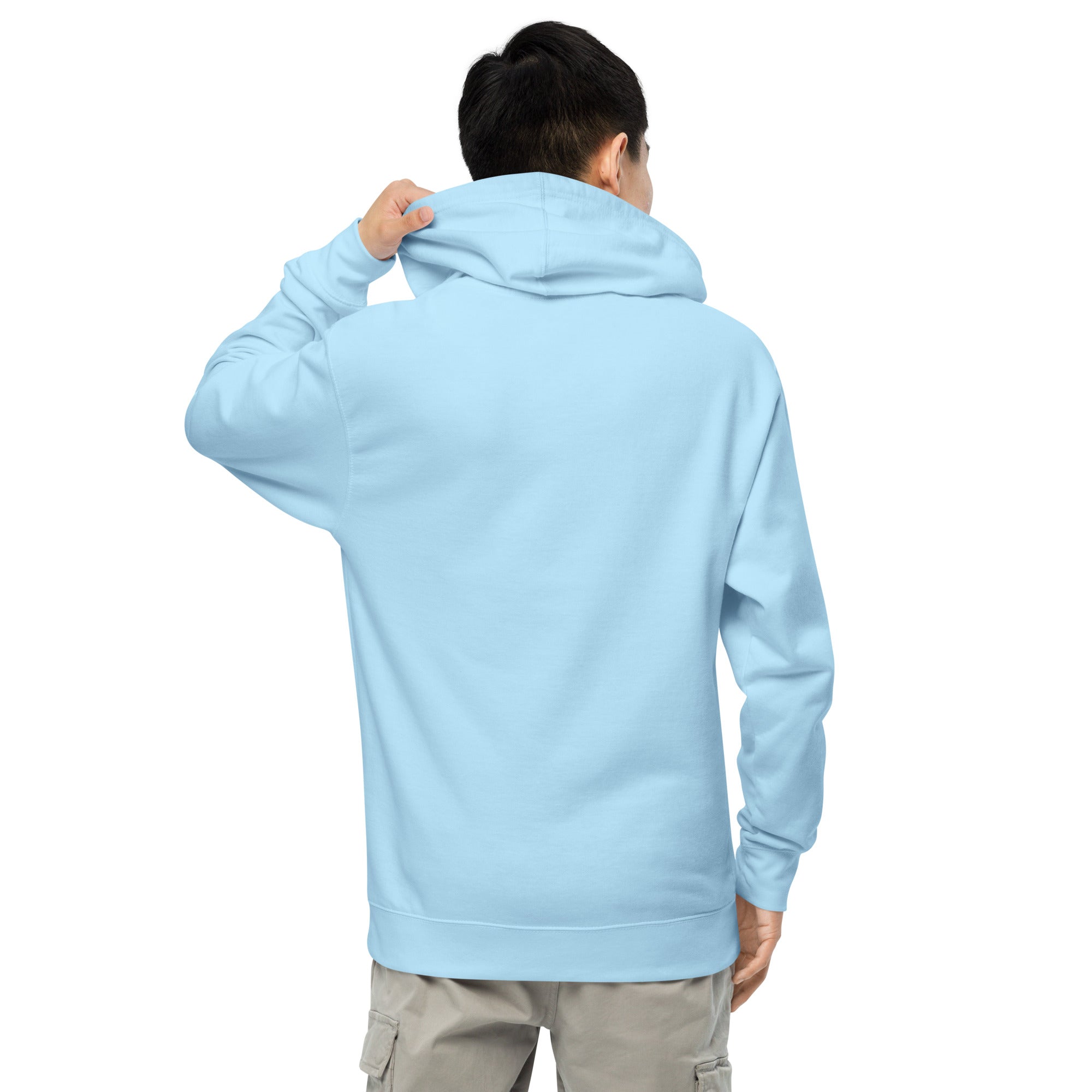 Roadrunner Embroidered Midweight Hoodie Pop - Broomfitters